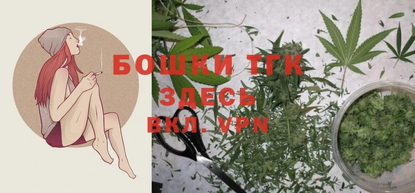 индика Бабаево