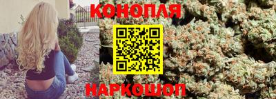 Альфа ПВП Заводоуковск