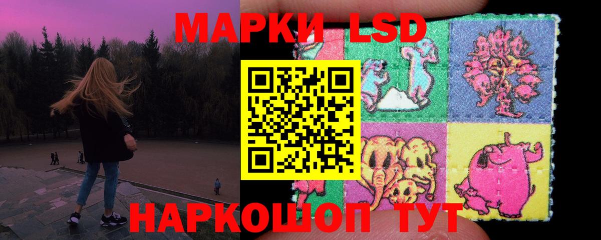 Нефтекумск  ЛСД экстази ecstasy  ЛСД экстази кислота  Вход с VPN 