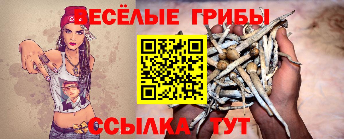 Нефтекумск  Псилоцибиновые грибы прущие грибы  Вход с VPN 