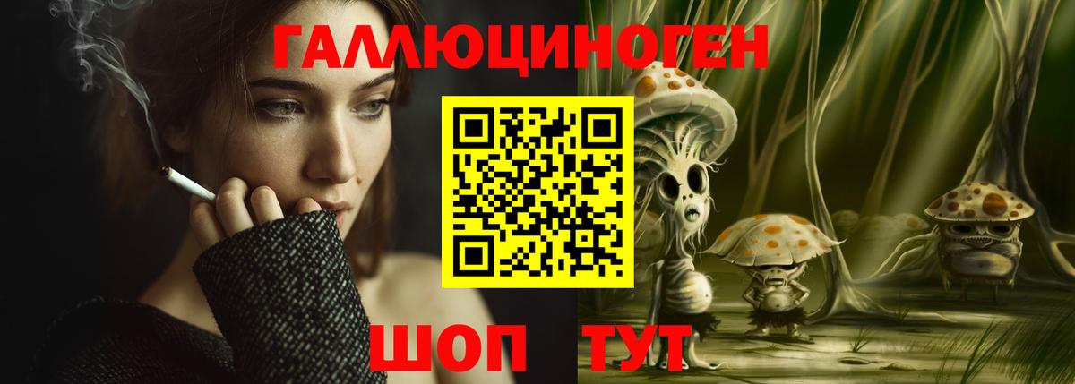 Галлюциногенные грибы Psilocybine cubensis Нефтекумск