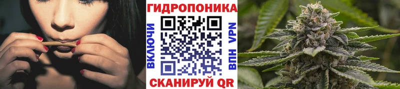 Марихуана сатива  Нефтекумск 